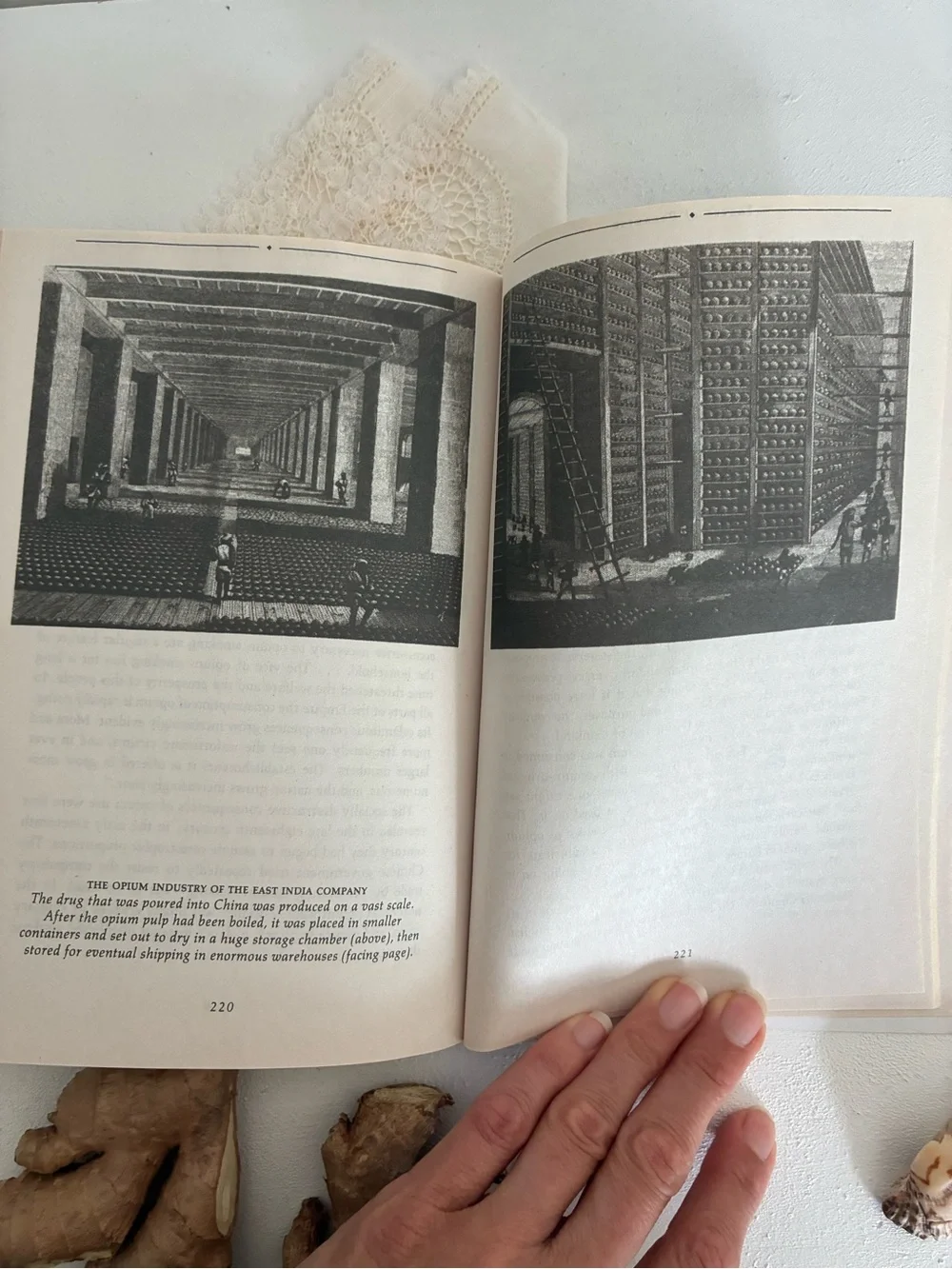 Tastes of Paradise Paperback Book - Wolfgang Schivelbusch